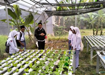 Siswa MAN Sampang Magang Budidaya Ikan Nila dan Hidroponik di Desa Baruh
